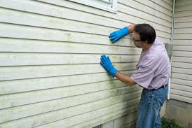 Best Custom Trim and Detailing for Siding  in Kempner, TX